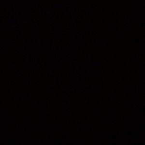 Meet your Posher, Daylen